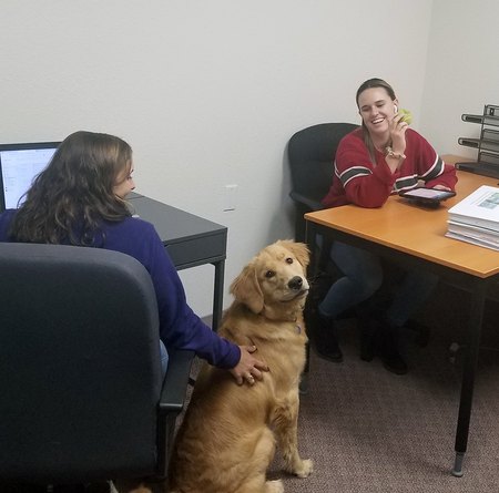 Want to Join Our Team?