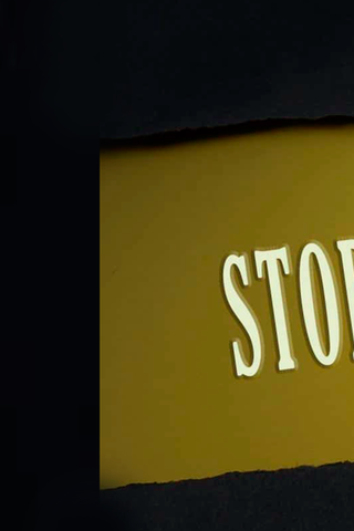 Stop Work Order (SWO) Consulting