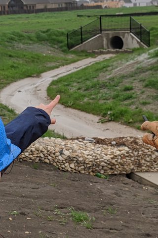 Navigating A Notice Of Enforcement (NOE)