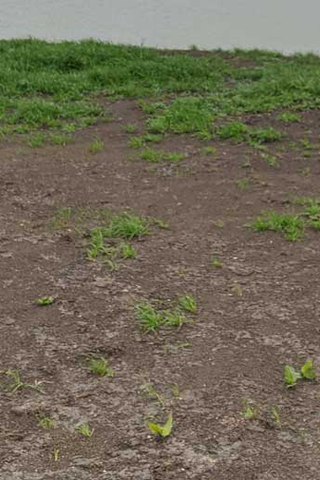 Helping You Prepare TCEQ Steers Submissions Accurately and Timely